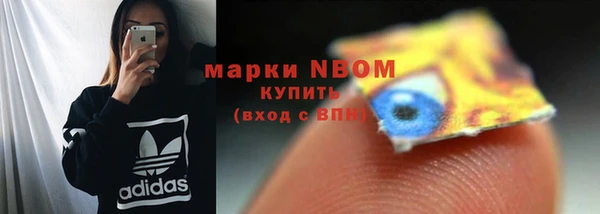 ГАЛЛЮЦИНОГЕННЫЕ ГРИБЫ Магадан